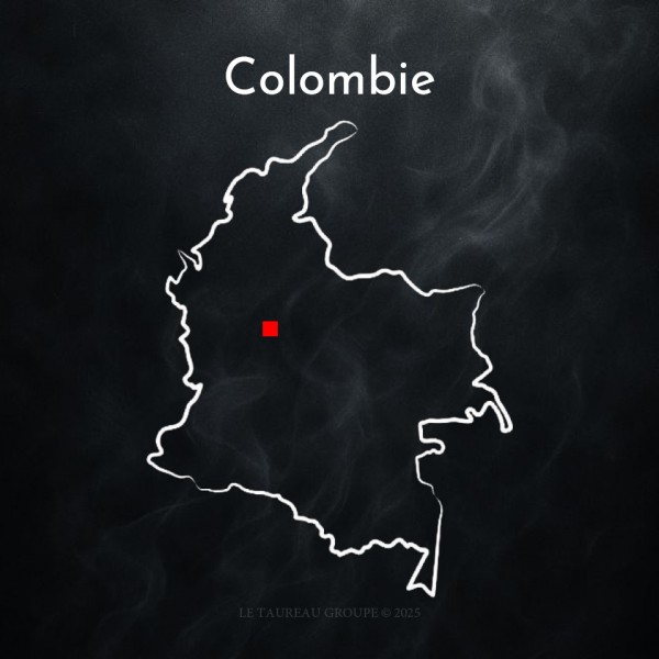 100% Arabica - Colombie ( 1 KG )